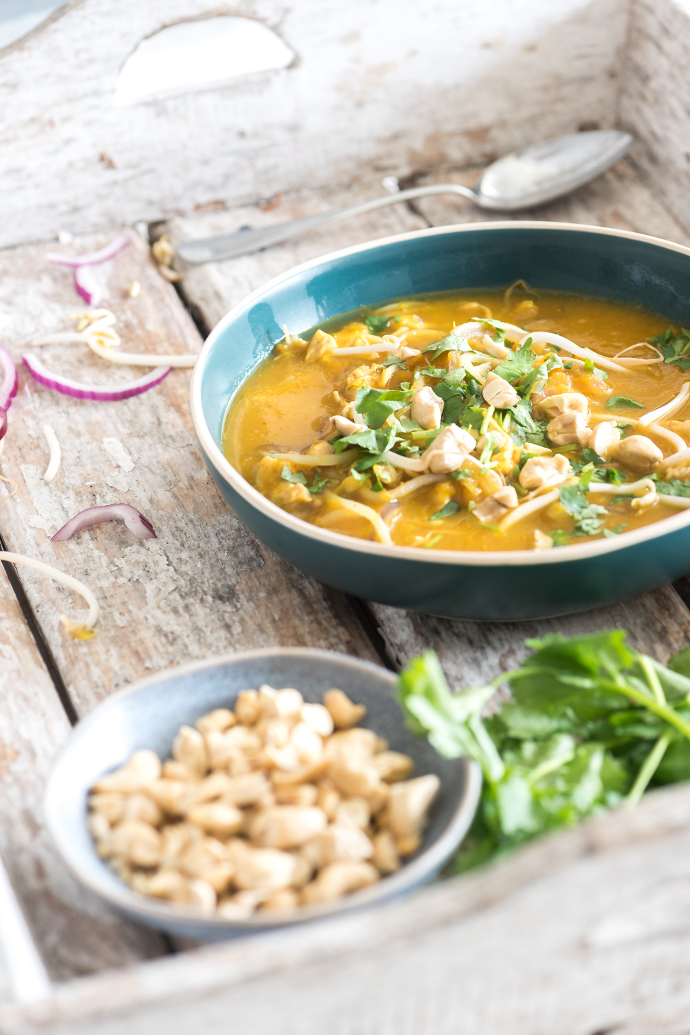 Regulatie Bezem ik betwijfel het Thaise curry soep | comfort food-Voedzaam & Snel